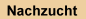 Nachzucht