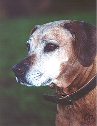 Jinja 10 Jahre alt